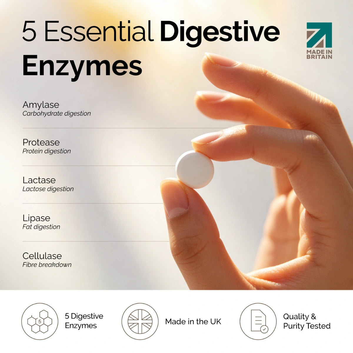 YOU Wellness® DigeZyme+