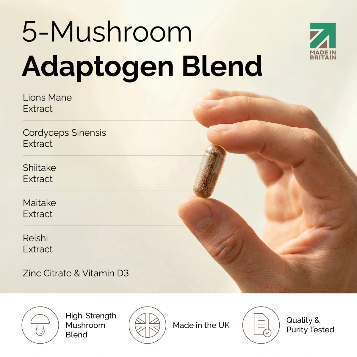 YOU Wellness® Mushroom Complex+